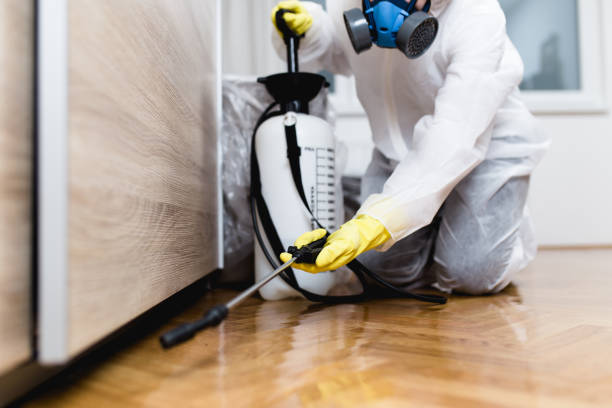 Best Mosquito Control Services  in Richland, MO