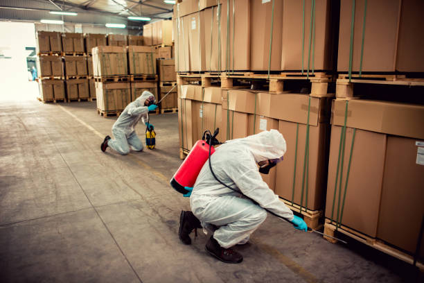 Best Termite Control Services  in Richland, MO