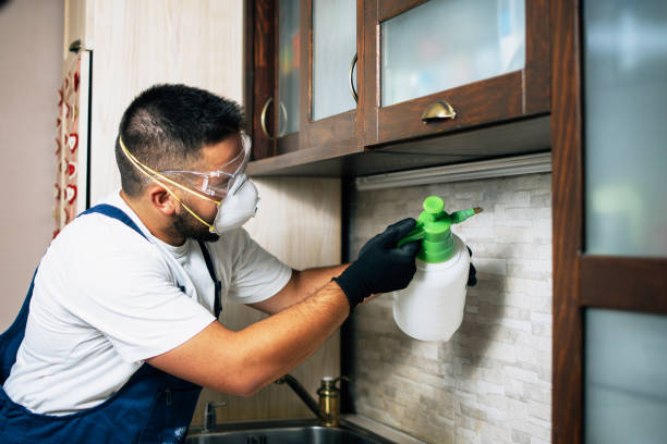 Best Mosquito Control Services  in Richland, MO
