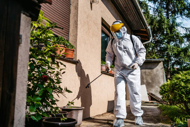 Best Wasp Removal Services  in Richland, MO