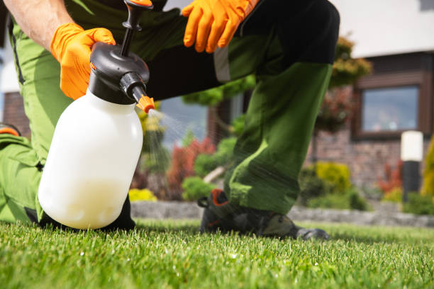 Best Bed Bug Extermination  in Richland, MO