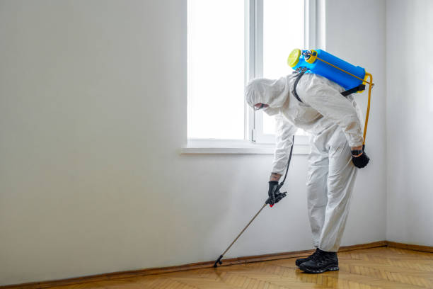 Best Insect Control  in Richland, MO