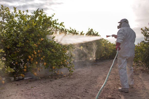 Best Exterminator Services  in Richland, MO