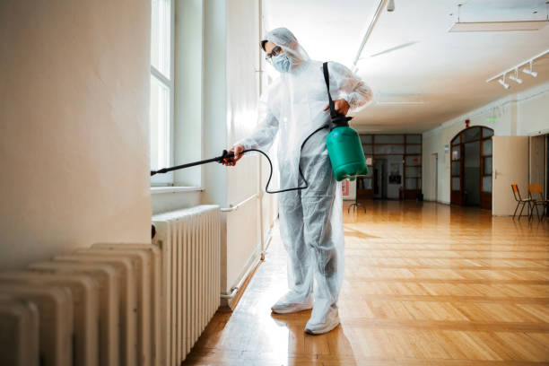Best Rat Extermination Near Me  in Richland, MO