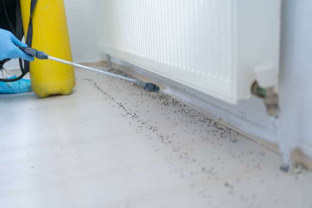 Best Pest Removal Services  in Richland, MO