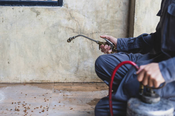 Best Flea Control Services  in Richland, MO