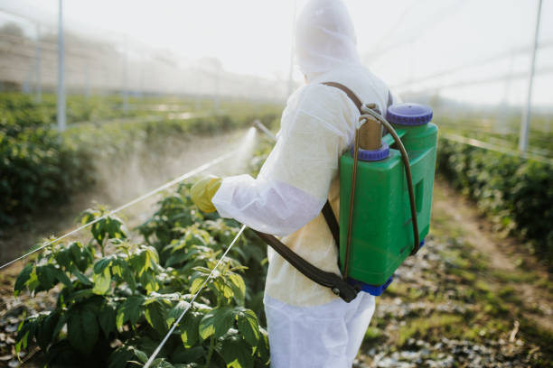 Best Pest Control Near Me  in Richland, MO